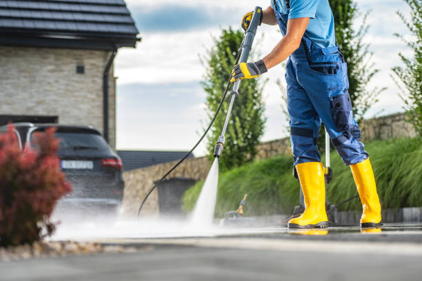 Best Affordable Pressure Washing  in Alamo, TX