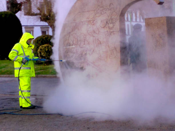 Best Commercial Building Pressure Washing  in Alamo, TX