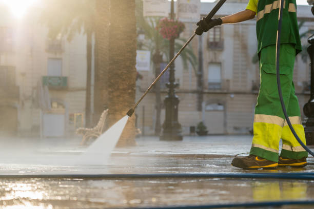 Best Residential Pressure Washing Services  in Alamo, TX