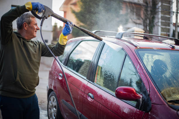 Best Pressure Washing Company Near Me  in Alamo, TX