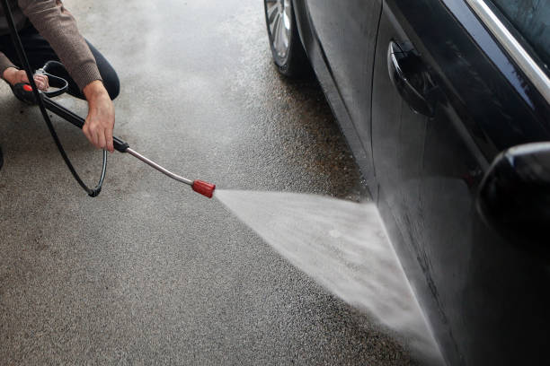 Best Local Pressure Washing Services  in Alamo, TX