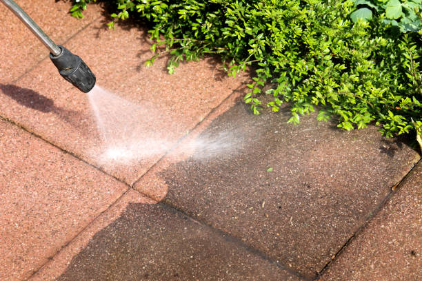 Best Affordable Pressure Washing  in Alamo, TX